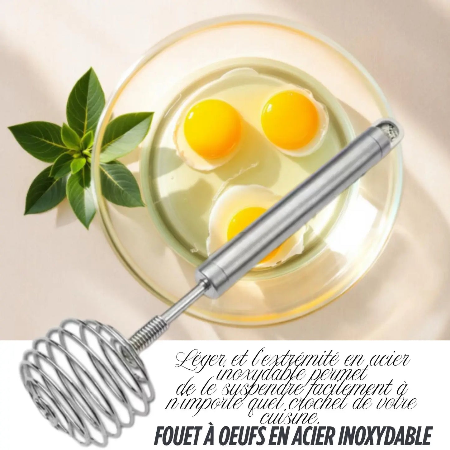 FOUET CUISINE À RESSORT │ SPRING-WHISK Paradis Cuisine