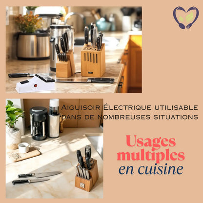 Affuteur de couteaux électrique usages multiples