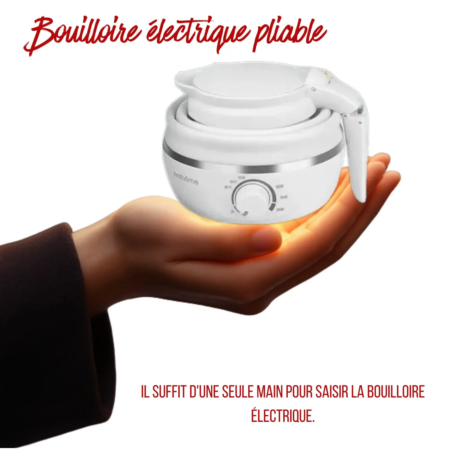 Bouilloire température réglable compacte