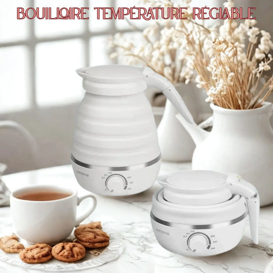Bouilloire température réglable  demo