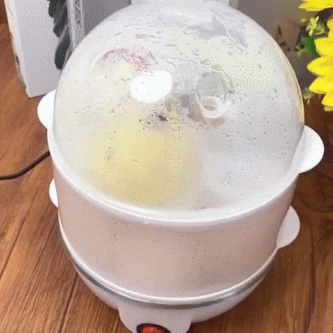 🥚 CUISEUR À ŒUFS (À VAPEUR) │ ELECTRIC EGG BOILER 110V/220V Paradis Cuisine