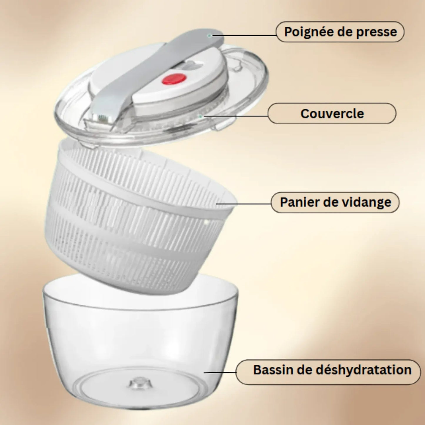 ESSOREUSE À SALADE (PISTON) │ PISTON-SPINNER Paradis Cuisine