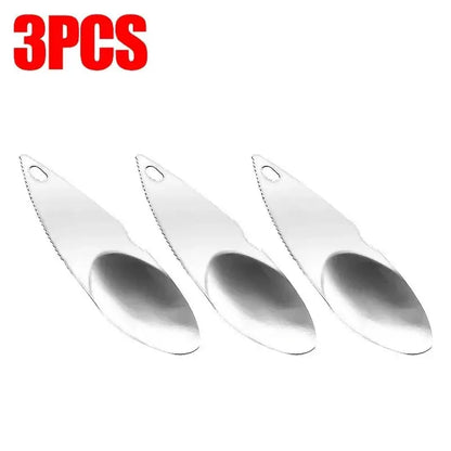 🥝 Cuillère à Kiwi - Paradis Cuisine